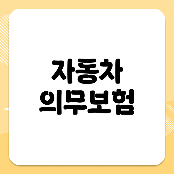 자동차의무보험
